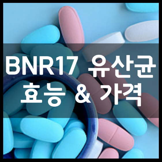 락토바실러스-가세리-BNR17-유산균-썸네일