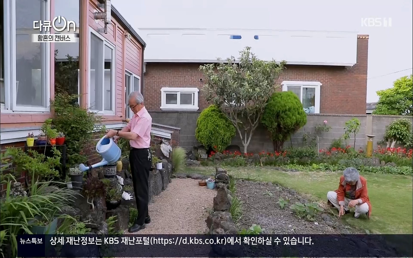다큐 On.E142.220603p.H264-F1RST.mp4_20220604_175817.916.jpg