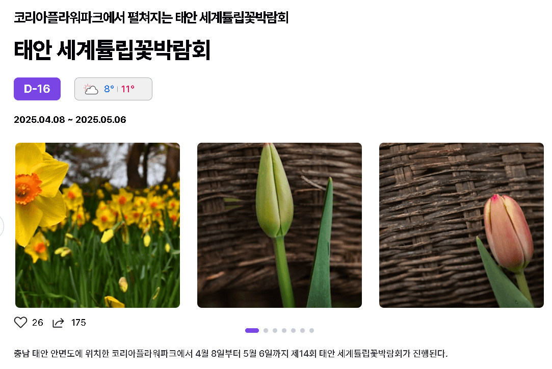 태안튤립꽃박람회 이미지