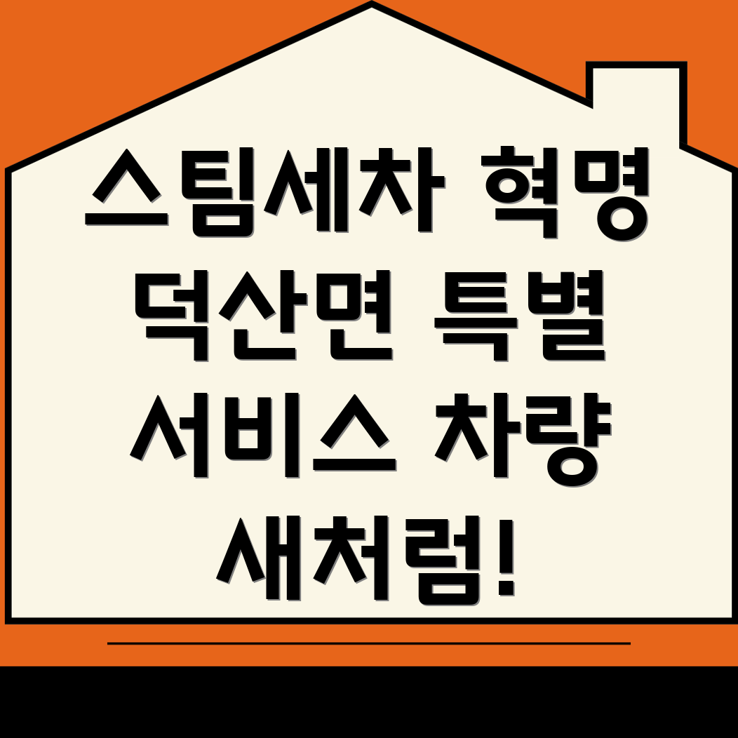 스팀세차