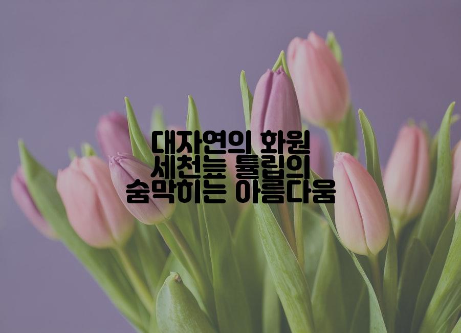 대자연의 화원 세천늪 튤립의 숨막히는 아름다움