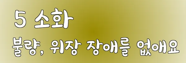  5 소화 불량, 위장 장애를 없애요