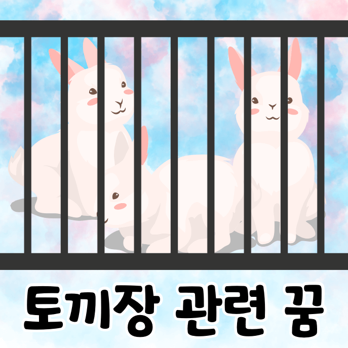 토끼장에 갇힌 토끼