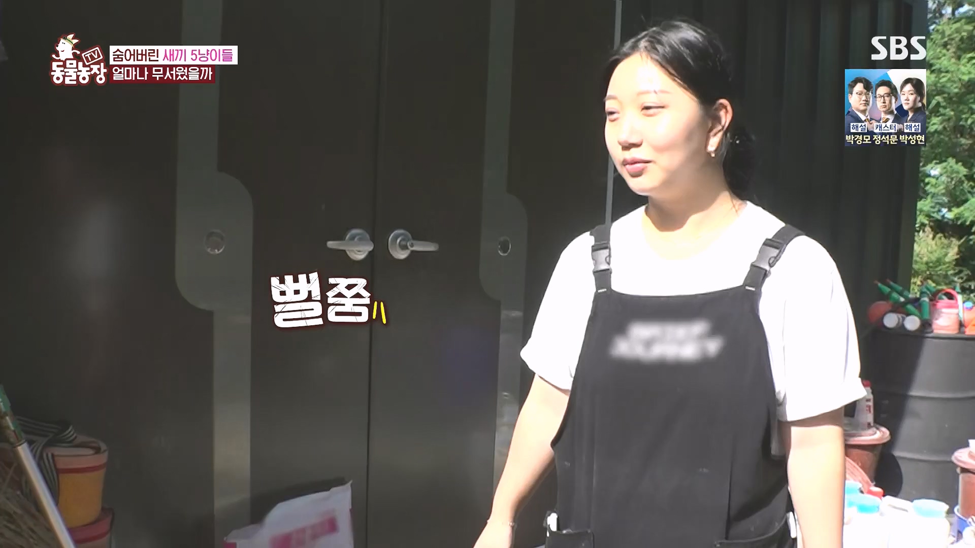 TV 동물농장.E1182.240728p.H264-F1RST.mp4_20240728_152529.065.jpg