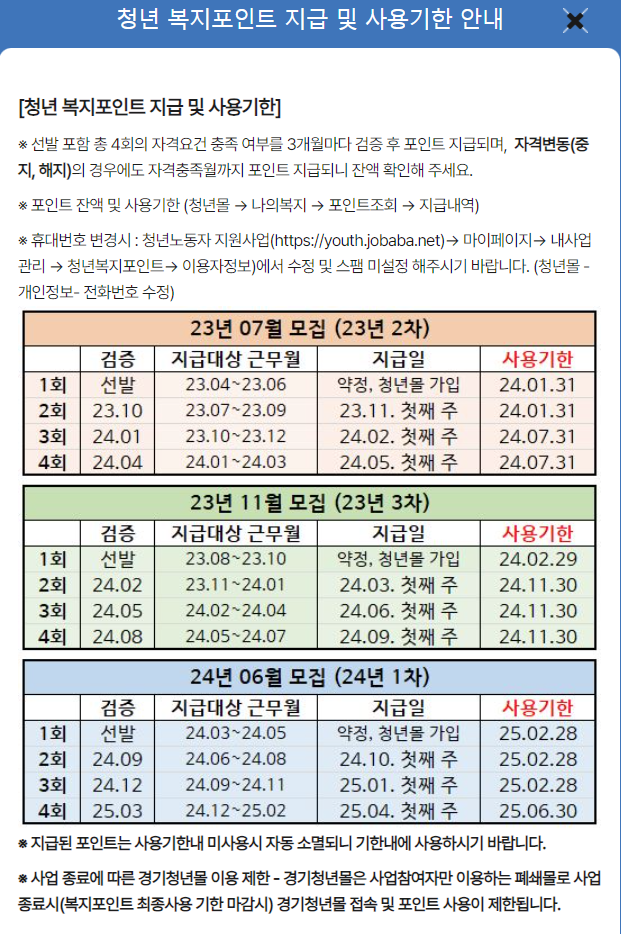 청년복지포인트 사용기한