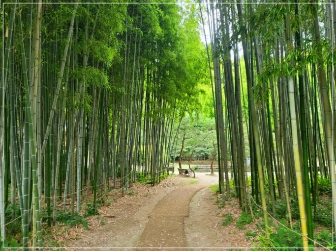  남해여행 여름에 1박2일로 가볼만한곳