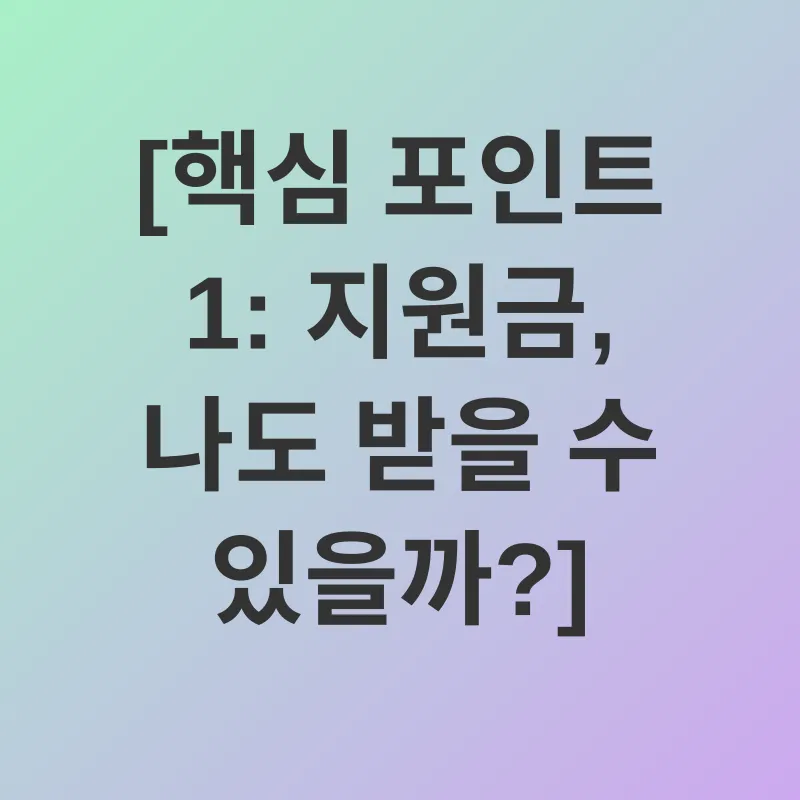 정부지원금_1
