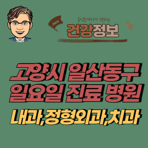 썸네일 고양시 일산동구 일요일 진료병원 안내