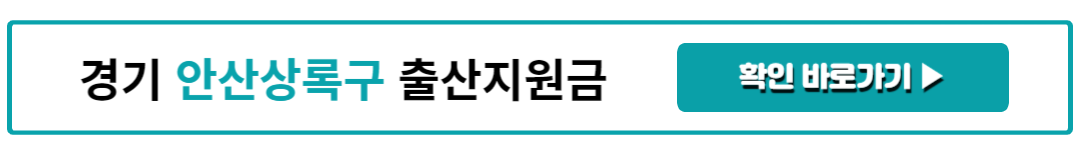 경기 안산상록구 출산지원금