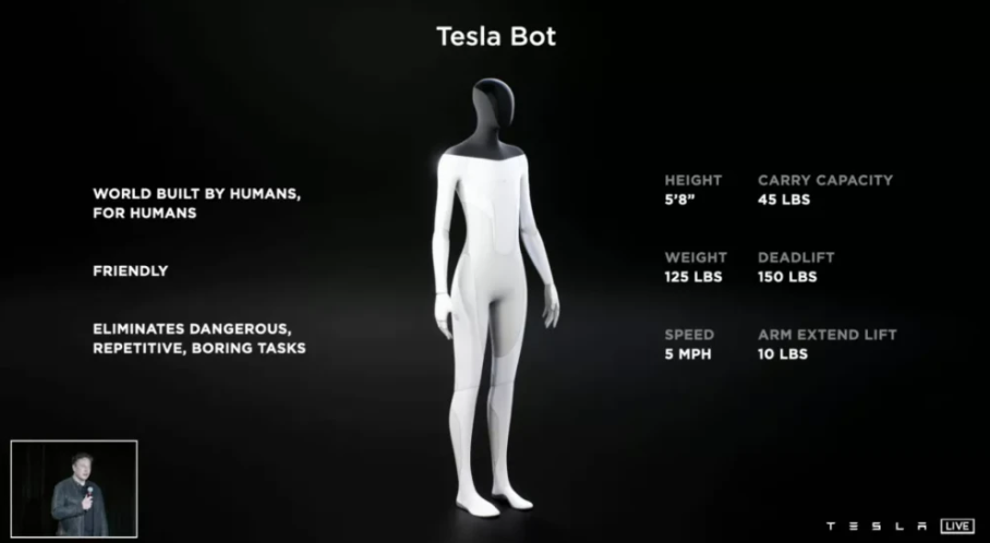 Tesla Bot