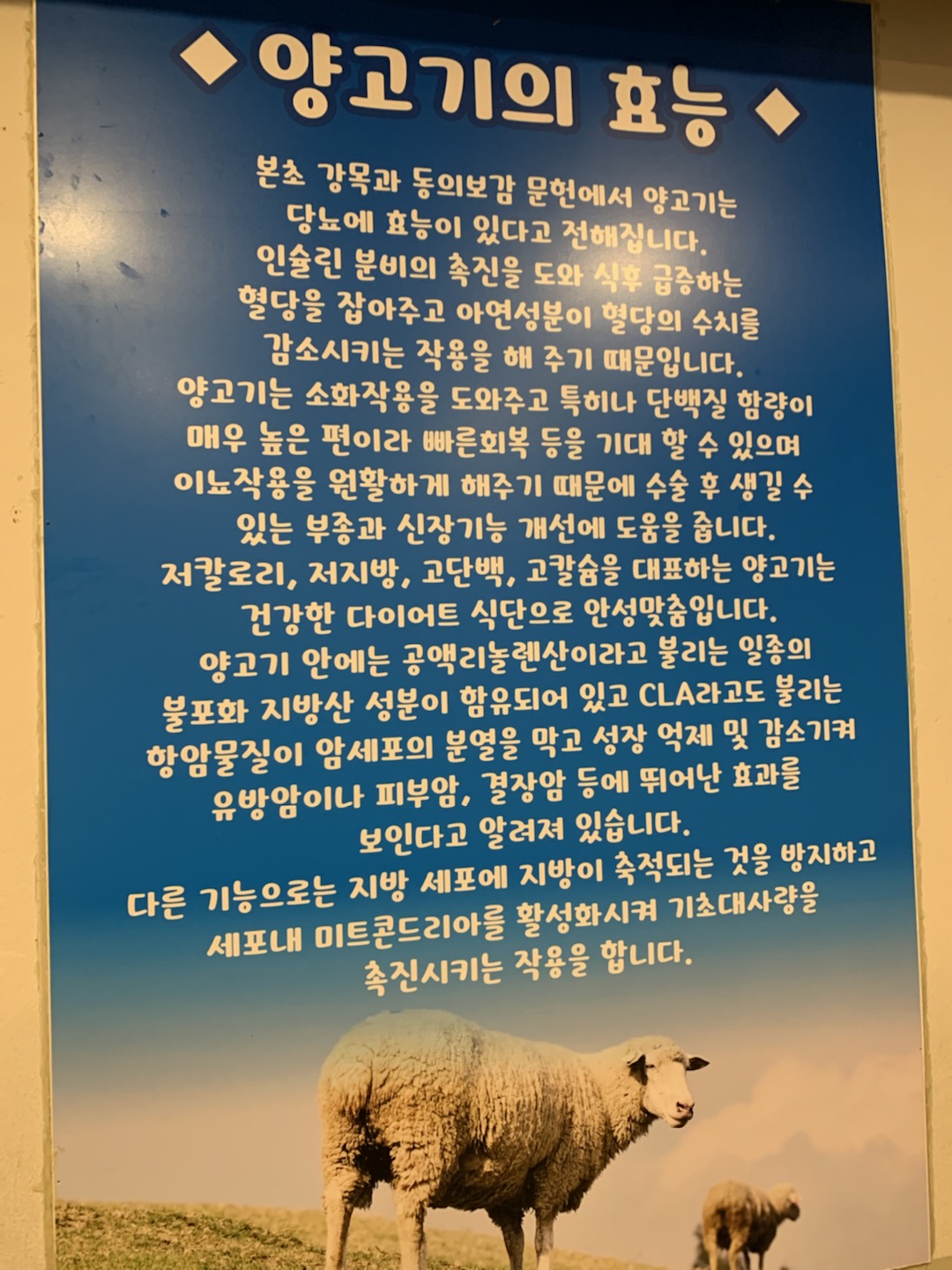 마약양꼬치 이미지