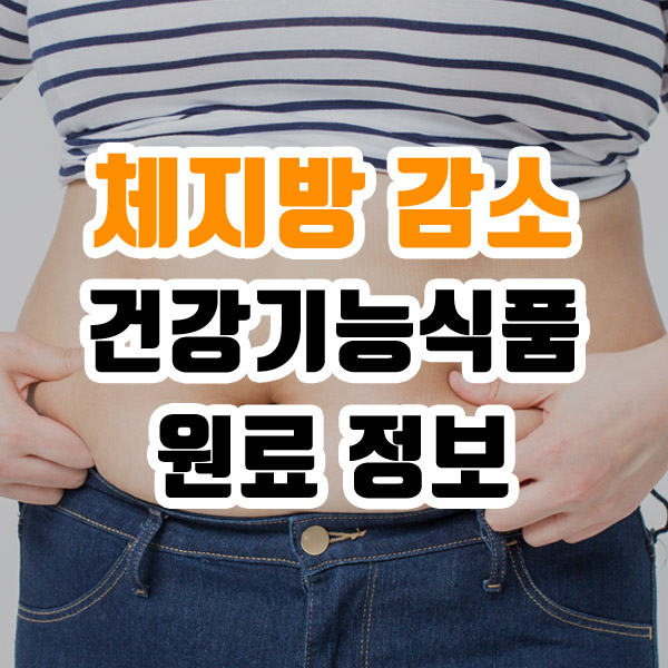 체지방 감소 건강기능식품 원료 정보