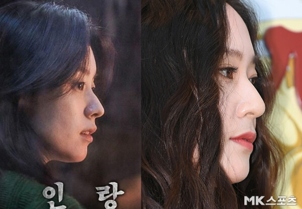 여자 연예인 코의 형태와 종류 여자 연예인 코의 형태와 종류