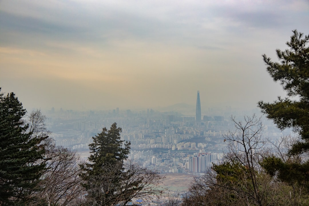 Yangji.