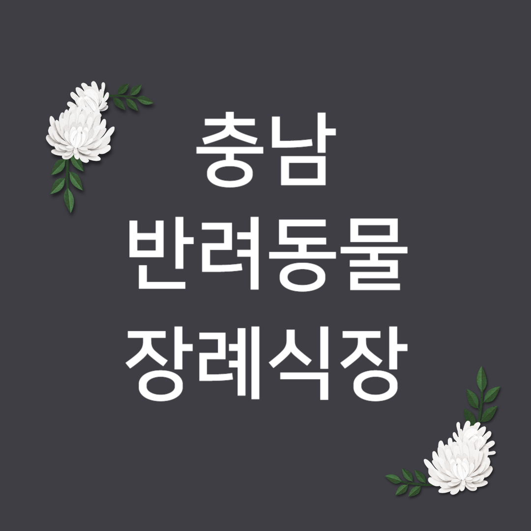 충남 강아지 장례업체