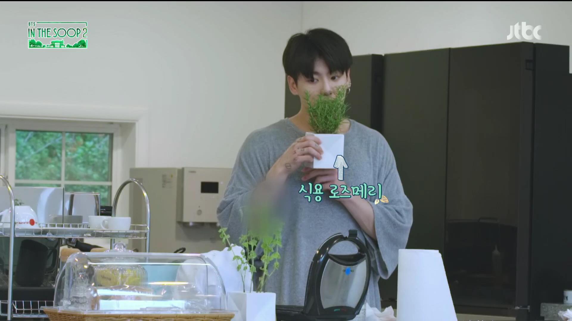 소우주 이미지