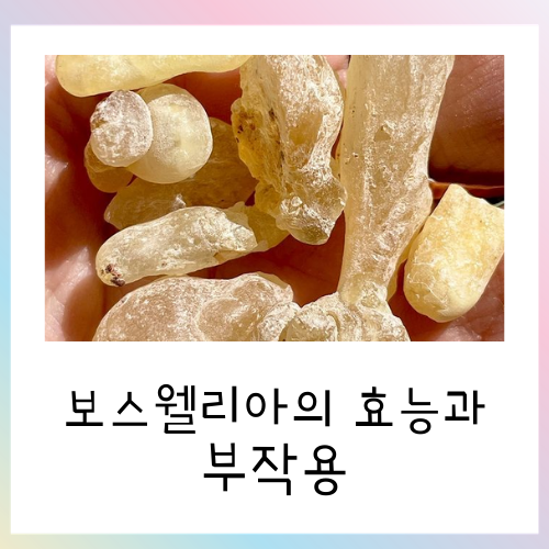  보스웰리아 효능과 부작용에 관하여