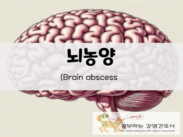 성인간호_뇌농양 (brain abscess) 원인, 증상, 수술 및 간호진단