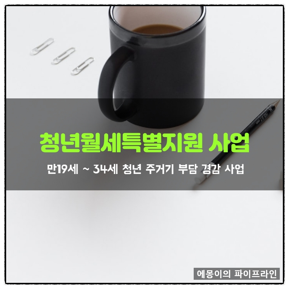  청년월세특별지원 사업. 무주택 청년을 위한 주거비 부담 경감 정책
