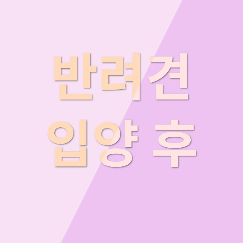 반려견 입양_3