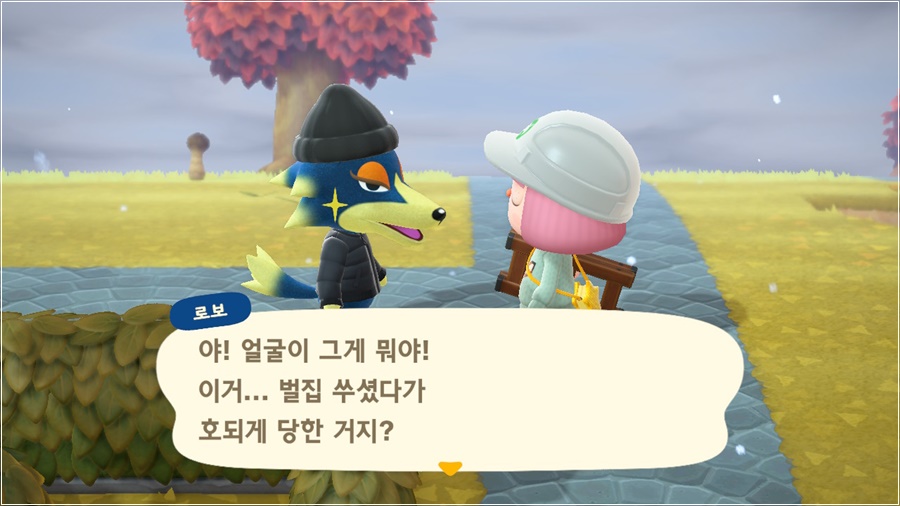 모동숲] 로보 편 - Verje'S Blog.