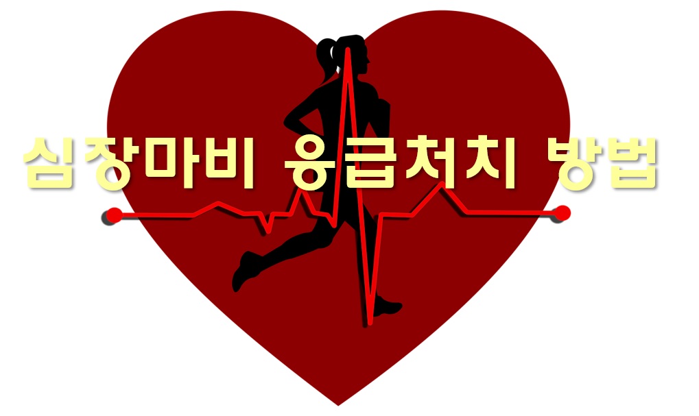  심장마비 응급처치 방법과 심장마비 예방법