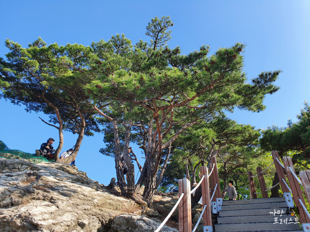 광교산 정상