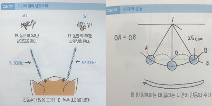 왼쪽-모기와-벌의-날갯짓-오른쪽-진자의-운동