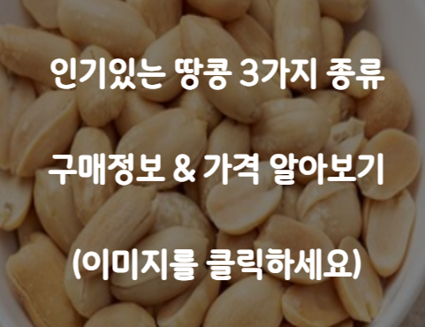 땅콩 추천