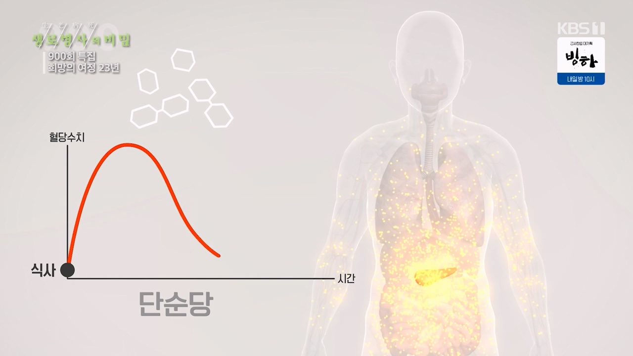 생로병사의 비밀.E903.240307p-NEXT.mp4_20240307_202038.609.jpg
