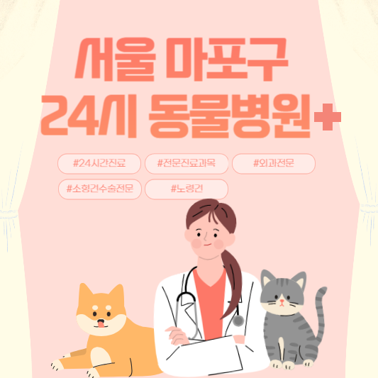 서울 마포구 24시 동물병원