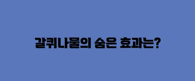 갈퀴나물 효능, 부작용 및 먹는법