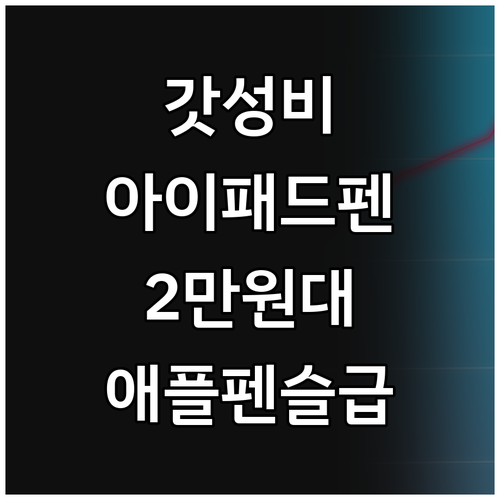 가성비 끝판왕 아이패드 스타일러스 펜