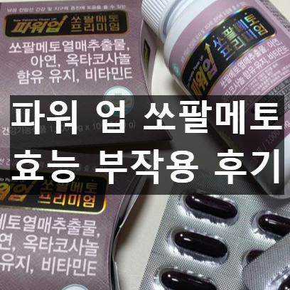 파워 업 쏘팔메토 프리미엄