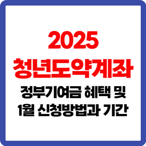 2025 청년도약계좌 정부기여금 혜택 및 1월 신청방법과 기간