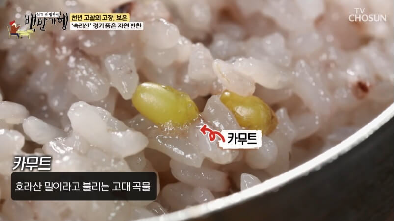 식객 허영만의 백반기행 299회 정일우의 보은 밥상 충북 보은 호박고지찌개 두리찌개 맛집 관기 정육식당 