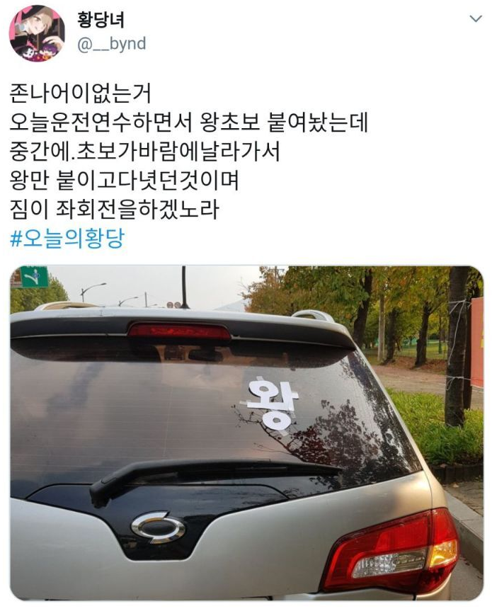  짐이 좌회전을 하겠노라