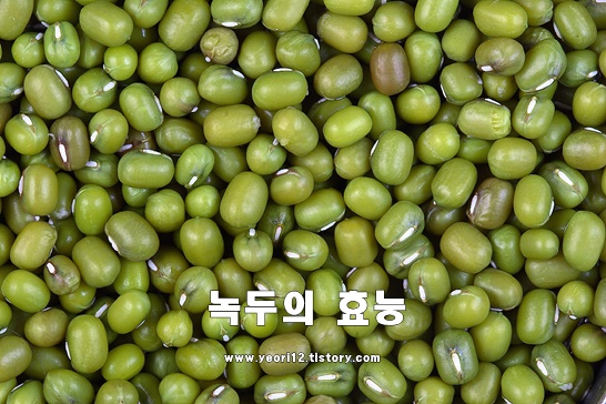  녹두의 효능