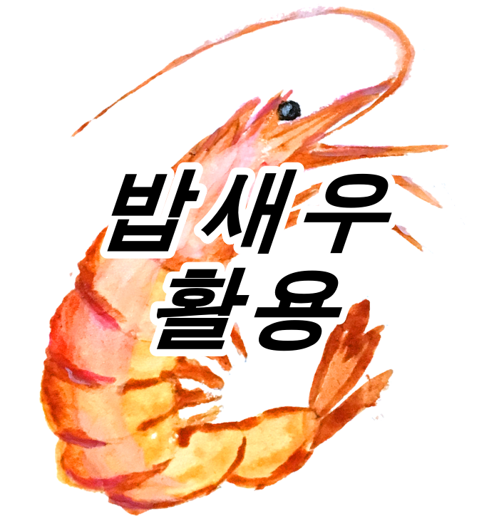 새우 유아식