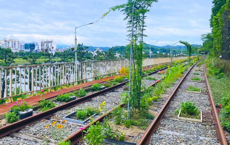 진주 레일바이크