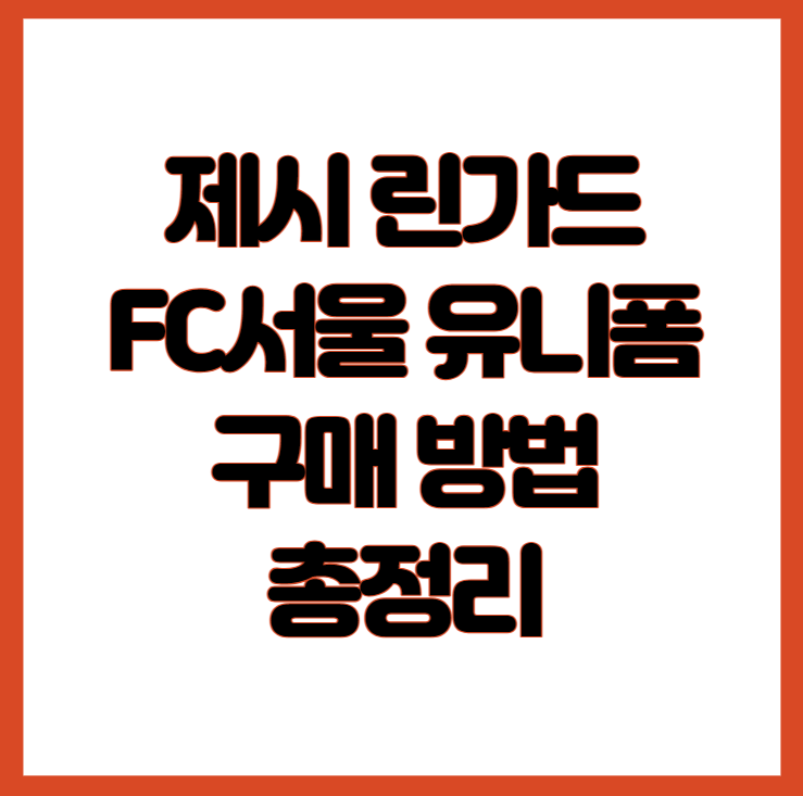 린가드가 입게 될 2024 FC서울 홈경기 유니폼