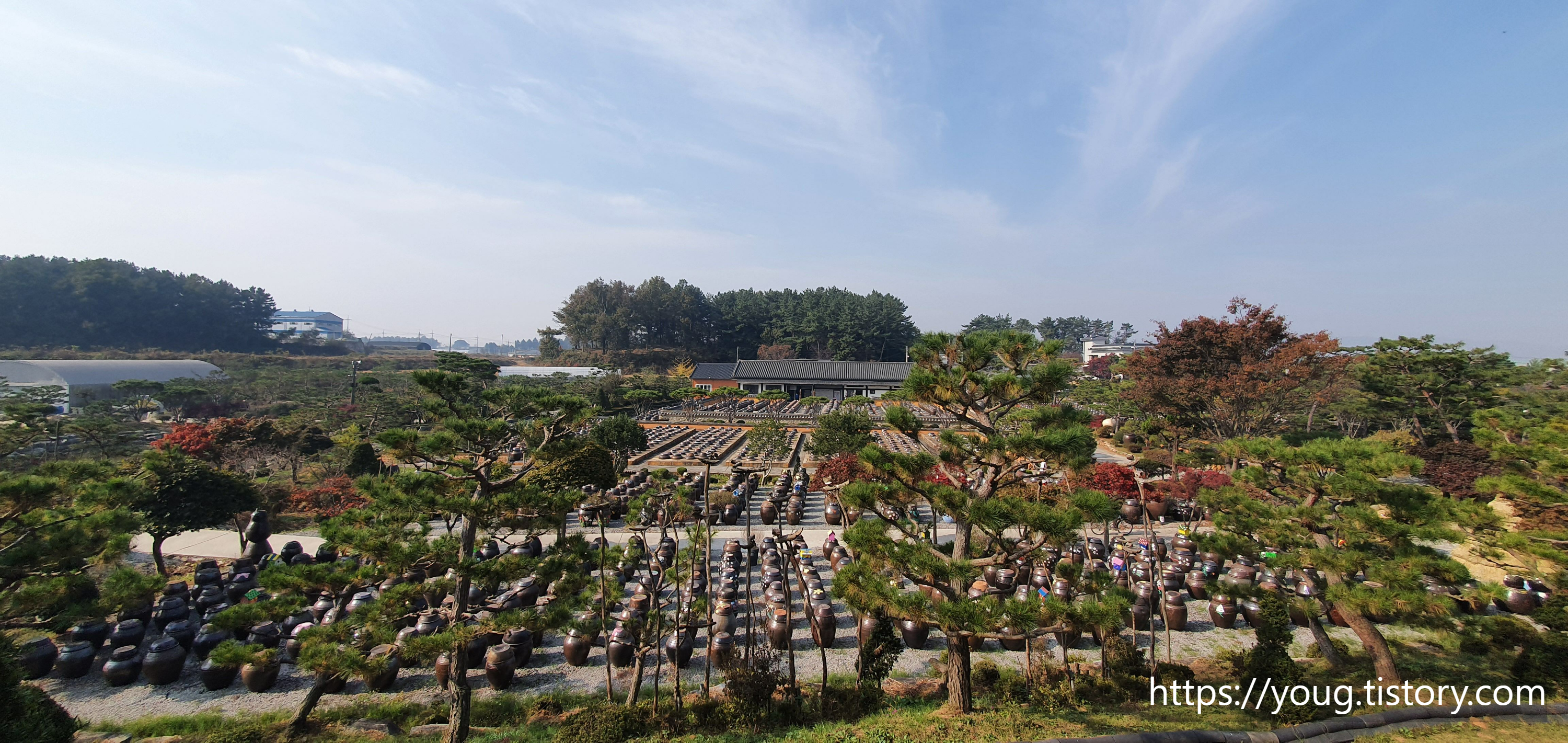  전북 익산 여행 코스 추천! 더 킹 촬영지로 유명한 고스락