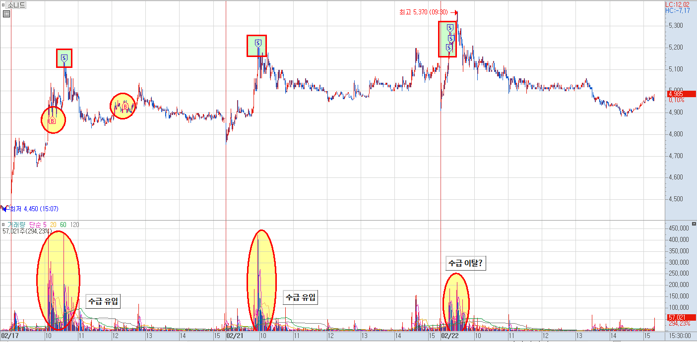 소니드 분봉 차트