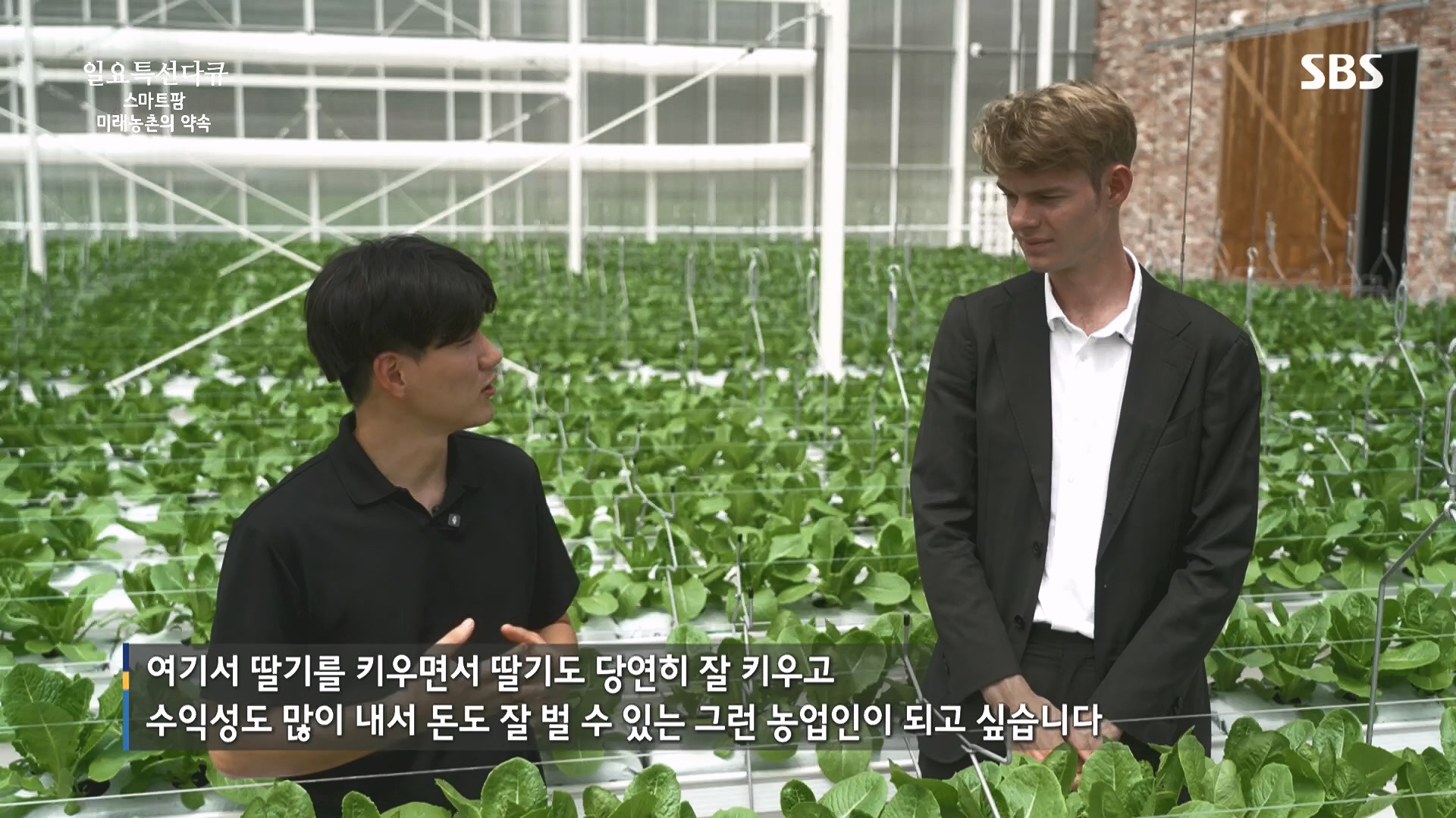 일요 특선 다큐멘터리.E348.240804p.H264-F1RST.mp4_20240805_201506.949.jpg