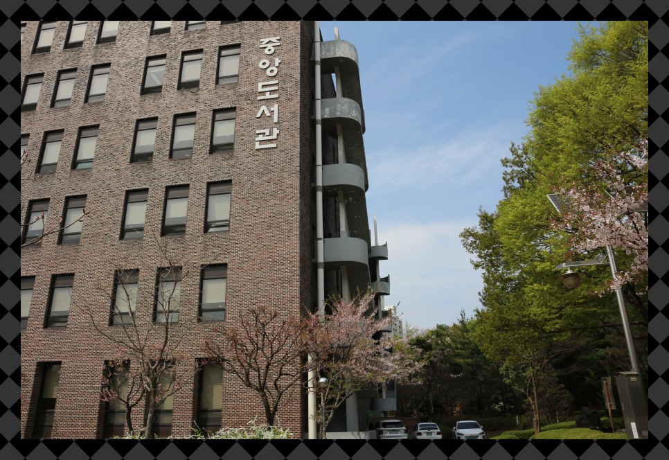여자대학교 순위 전문대학교 순위