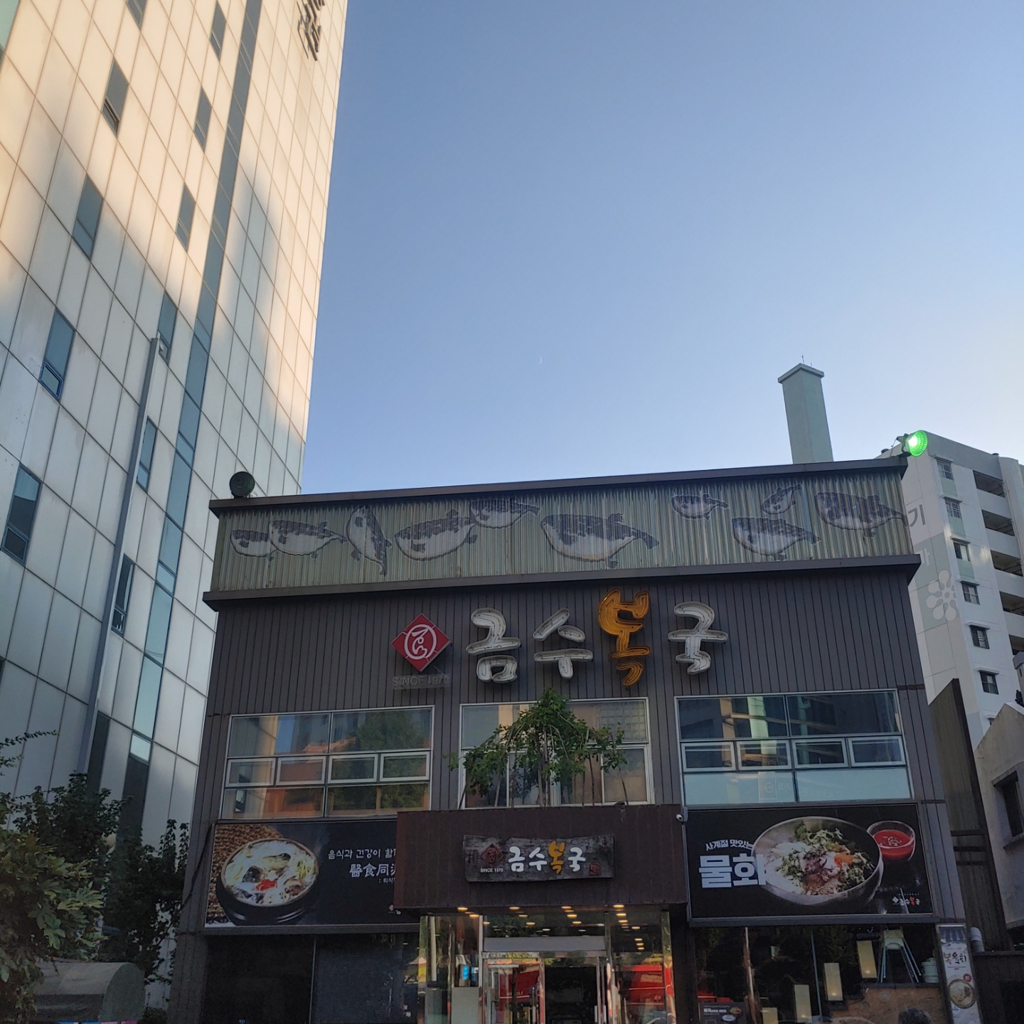  부산 동래 수안동 맛집 복어전문점 금수복국