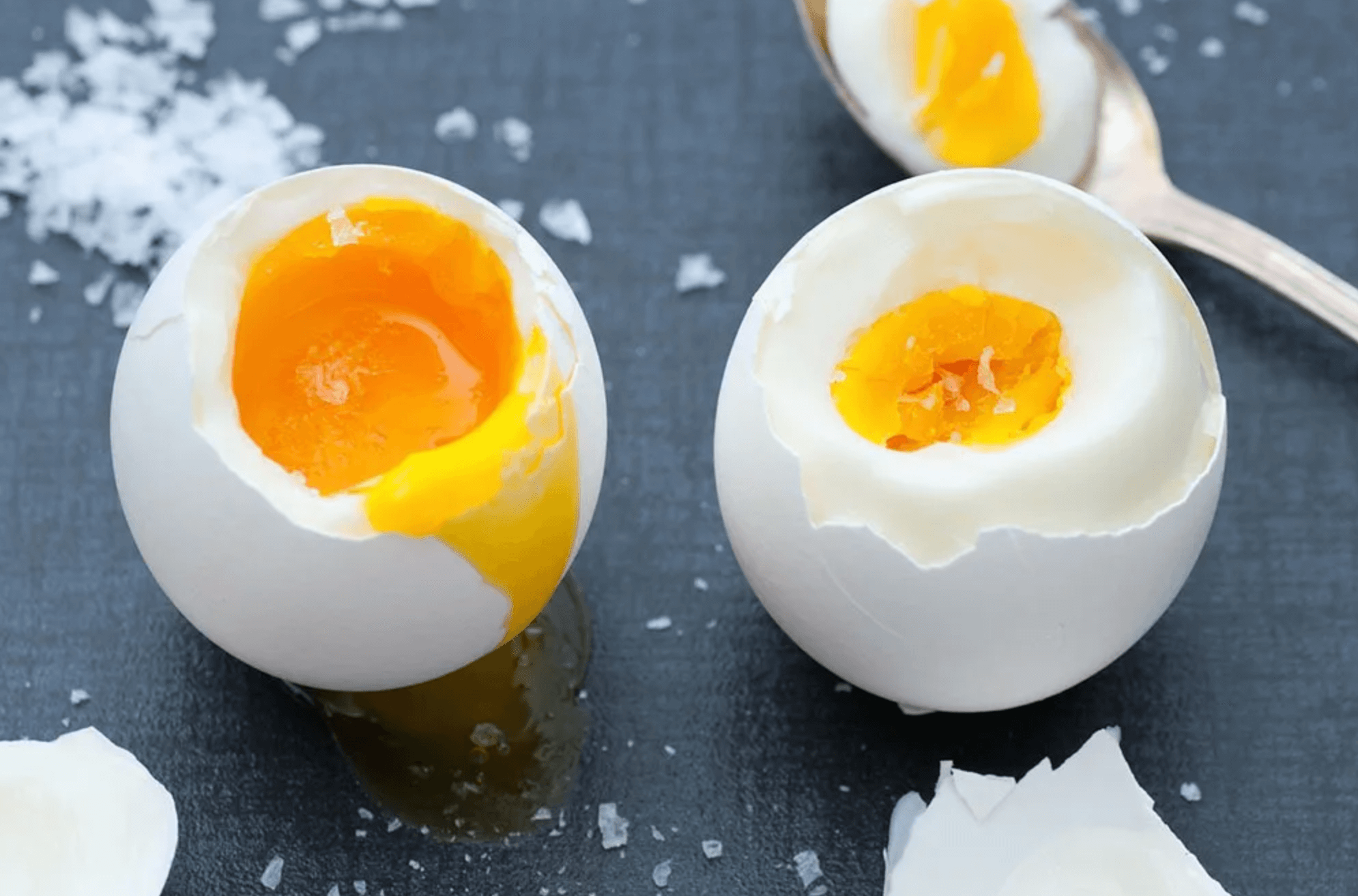 단백질 계란