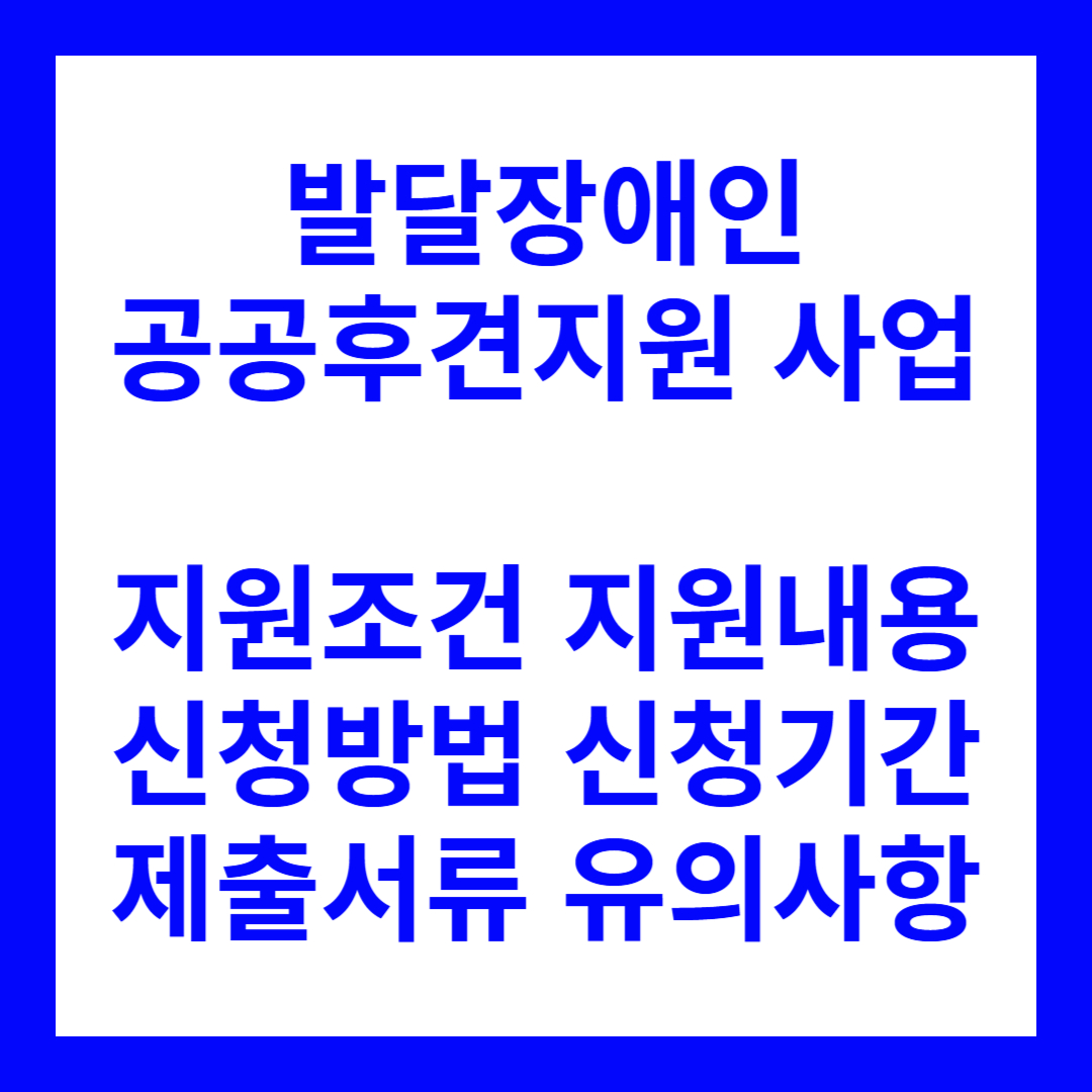발달장애인 공공후견지원 사업