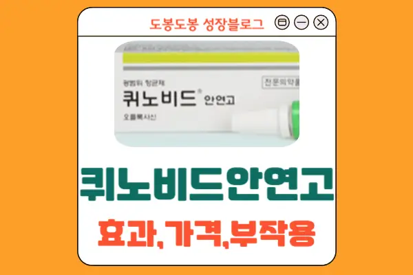 퀴노비드안연고 안내 이미지