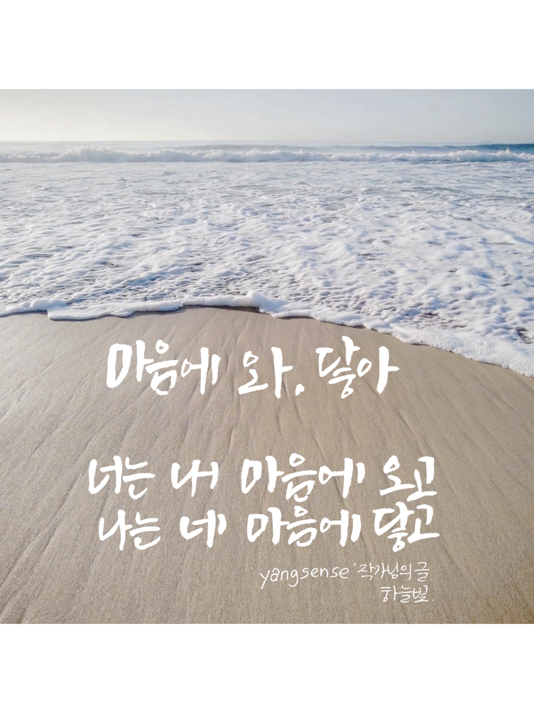  양센스 작가님의 글귀] 마음에 와,닿아